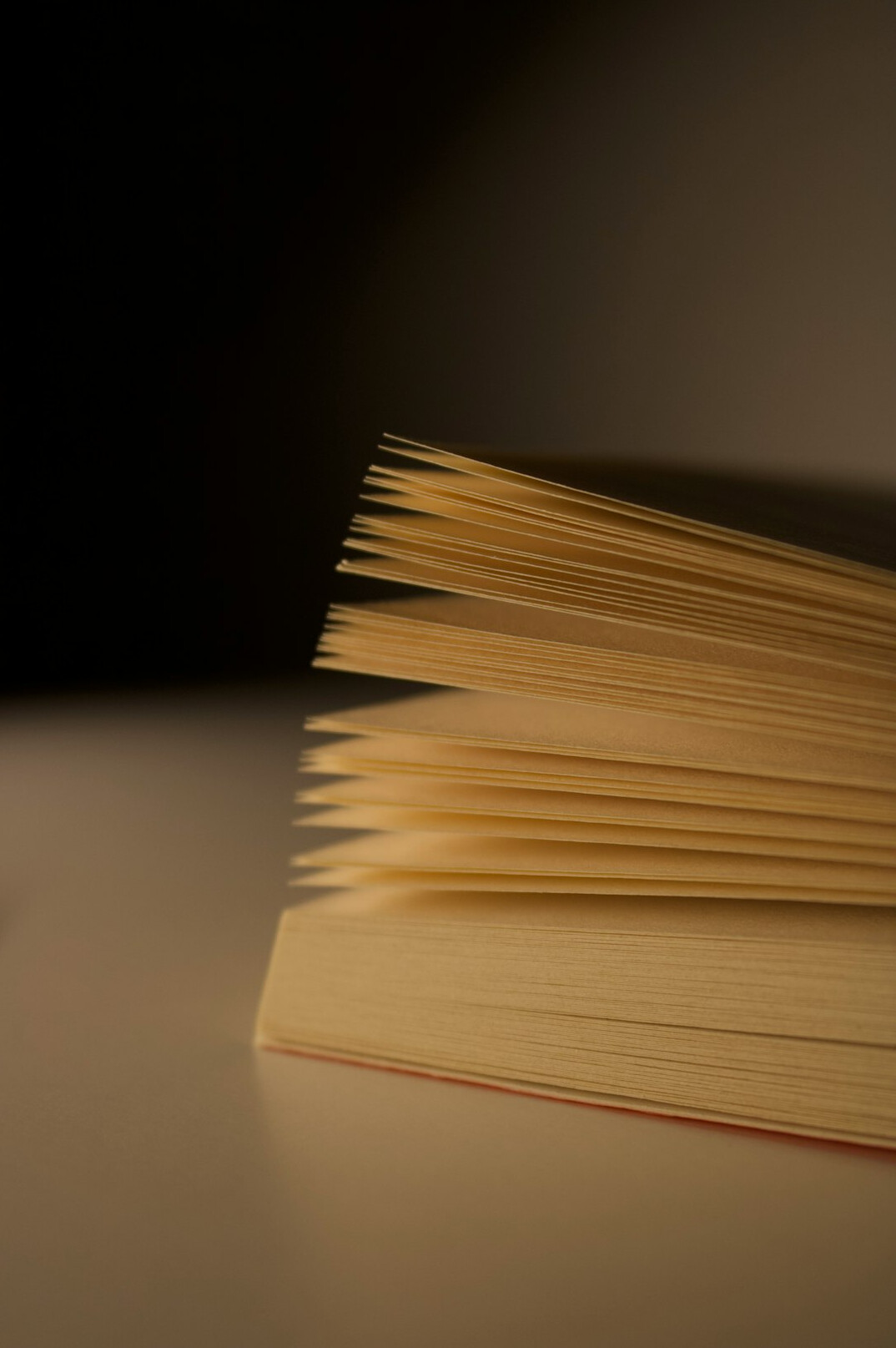 mystery book twist
