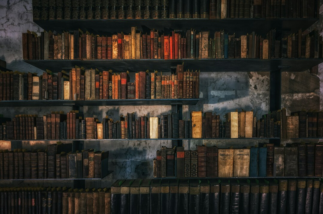 bookshelf with mystery novels